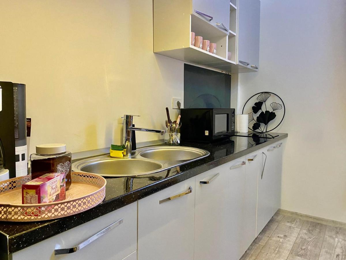 Апартаменты The Central Apartament Клуж-Напока Экстерьер фото