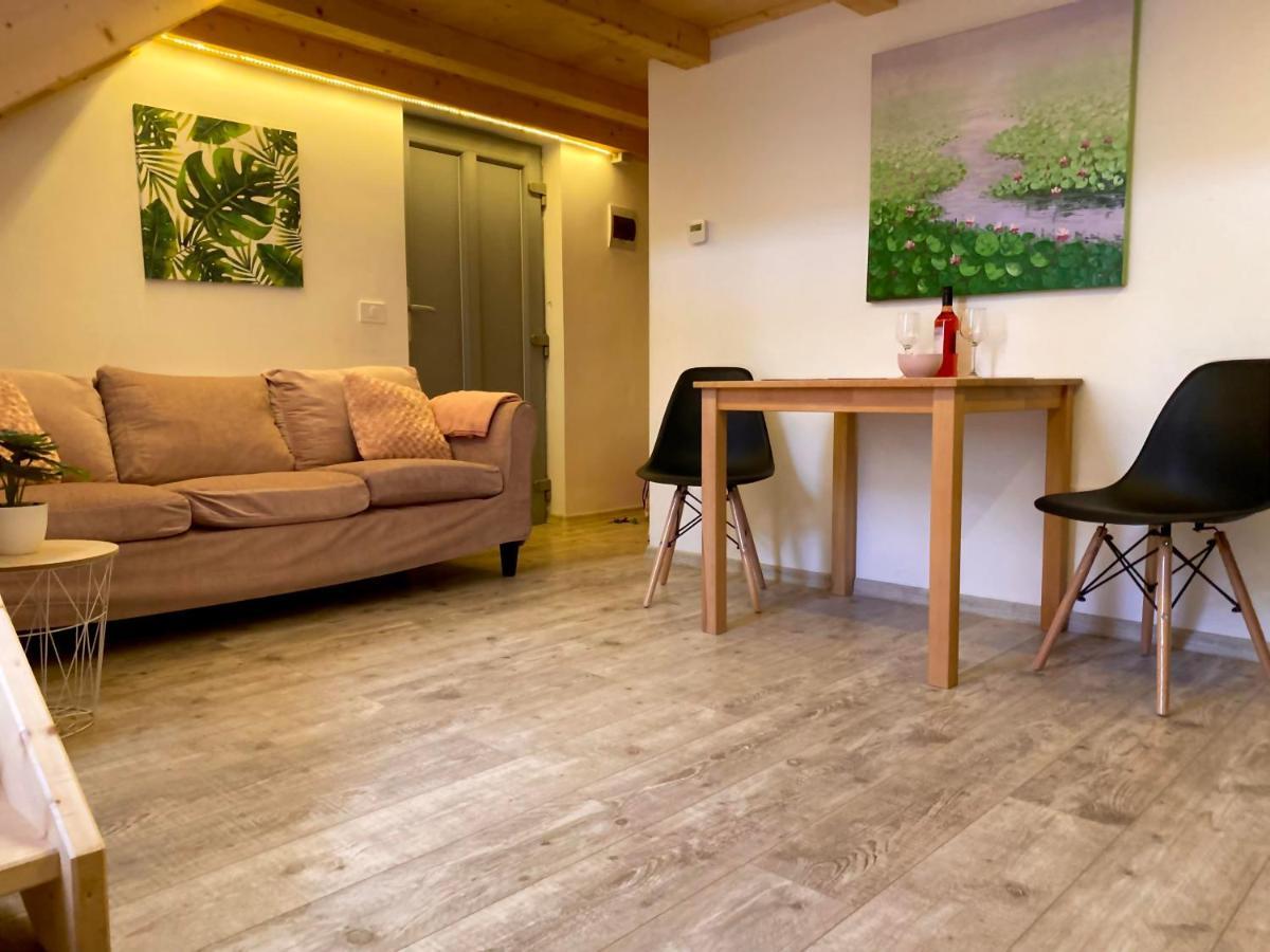 Апартаменты The Central Apartament Клуж-Напока Экстерьер фото